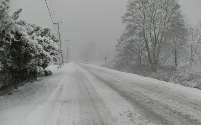 Conduzir na neve: dicas para chegar em segurança