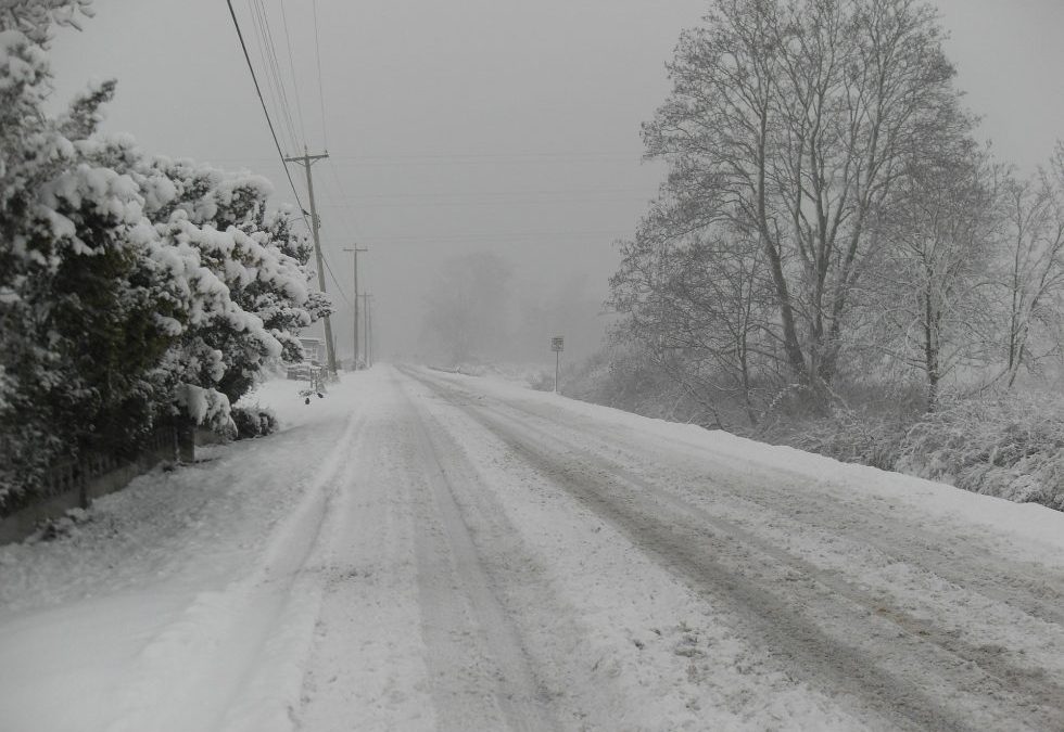 Conduzir na neve: dicas para chegar em segurança